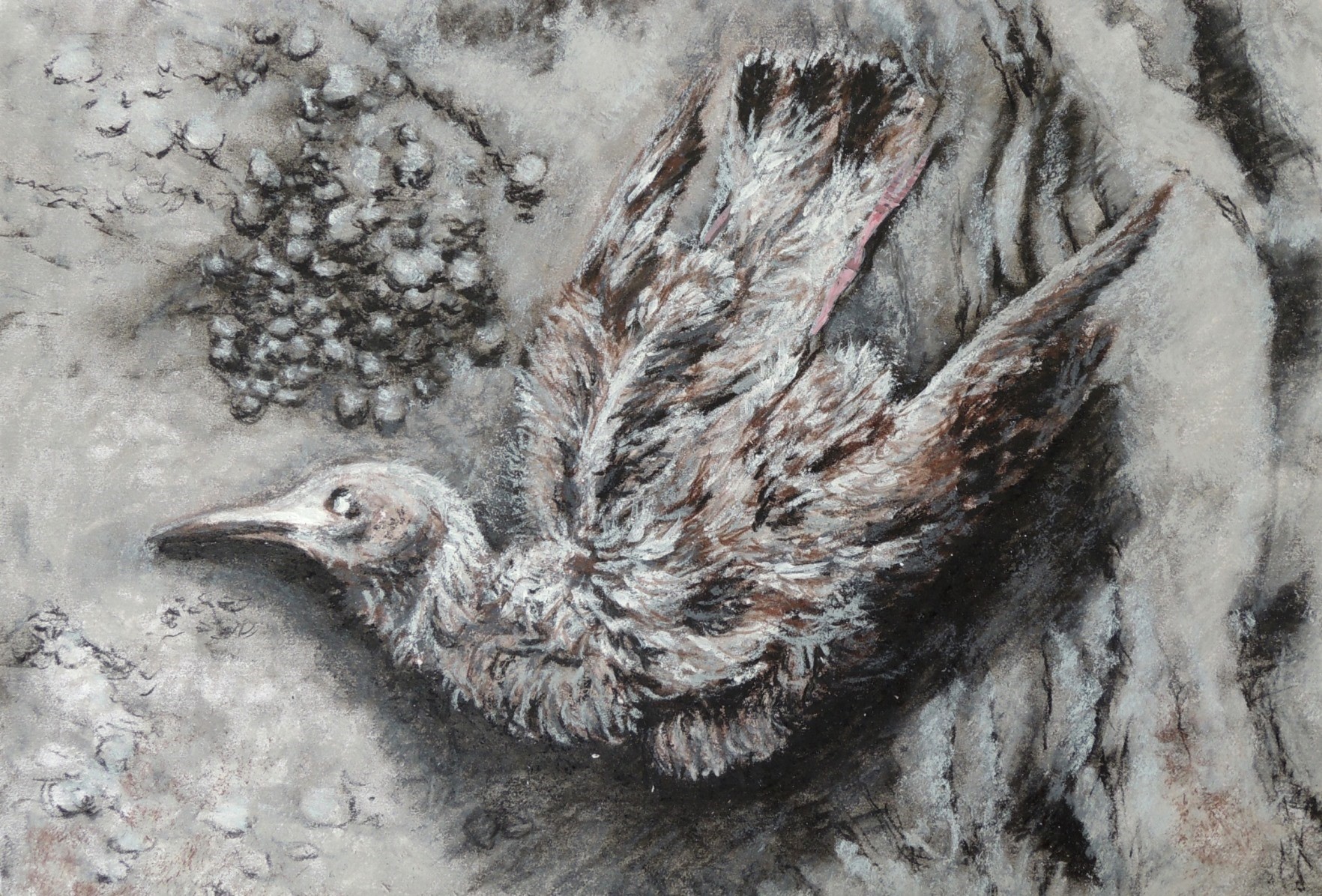 A4